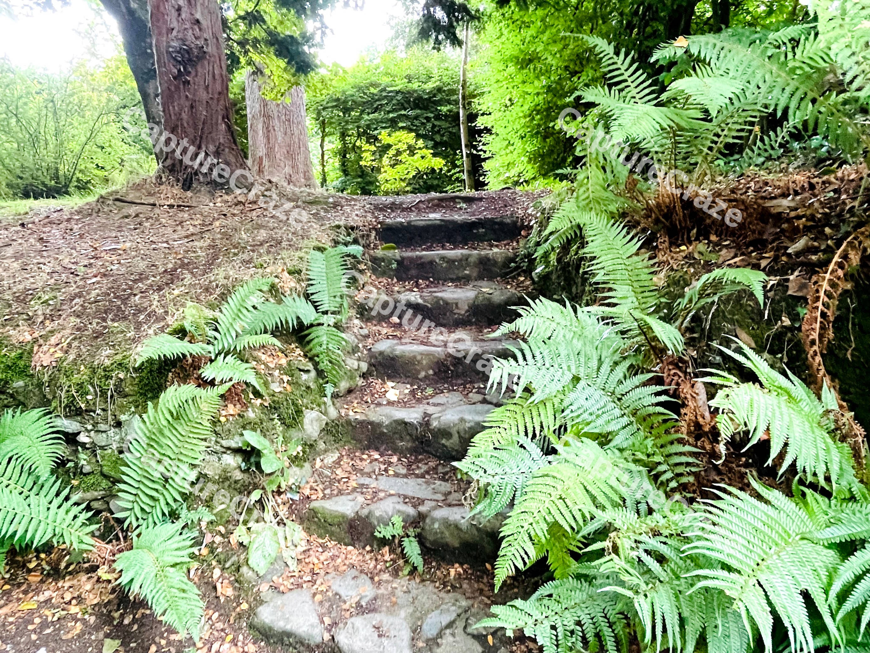 Stone Walkaway